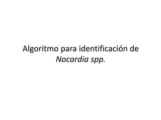 Identificacion De Nocardia Pdf