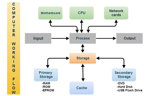 Computer Memory and Processing Devices: Functions & Characteristics ...