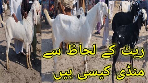 Zahir Peer Mandi Rates K Lihaz Say Mandi Kesi Ha Must Watch Video