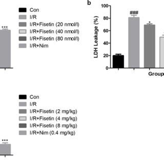 Fisetin Treatment Protected Pc Cells From I R Induced Toxicity A