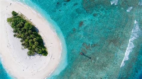 Cómo sobrevivir en una isla desierta técnicas básicas