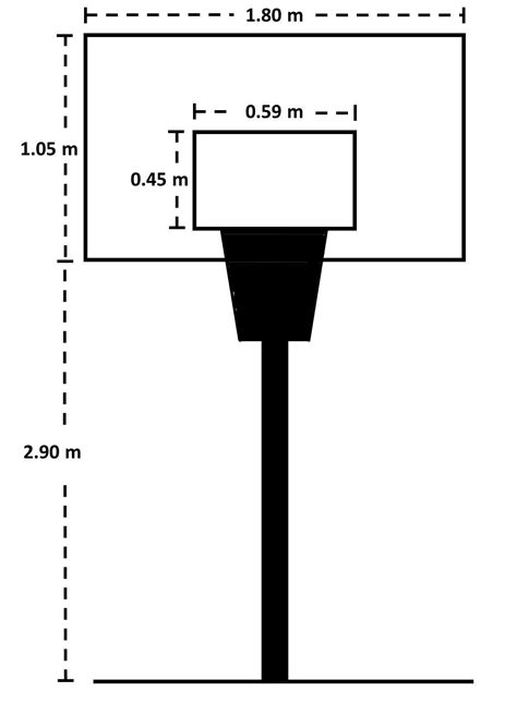 Tablero Y Canasta De Baloncesto Con Sus Medidas Dibujo Brainly Lat