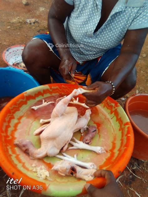 Alimentation Poulet De Chair En C Te D Ivoire Coinafrique C Te D Ivoire