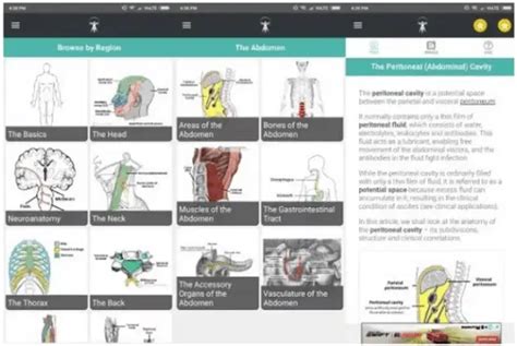 8 Best Anatomy Apps For Android And Ios Latest 2024