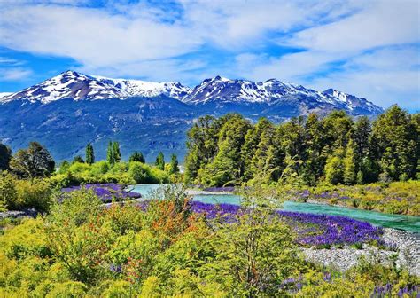 Conoce La Ruta De Los Parques En La Patagonia Chilena Matador Español