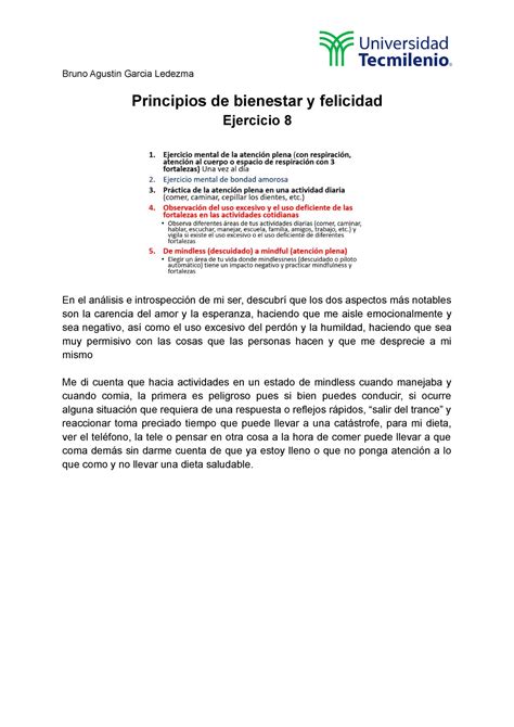 Principios De Bienestar Y Felicidad Ejercicio Bruno Agustin Garcia