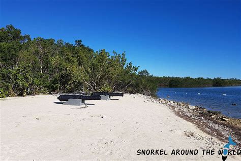 Recommended Snorkeling Spots In The Florida Keys