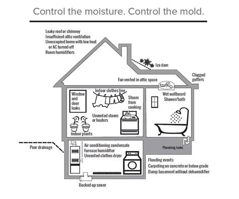 Mold And Moisture