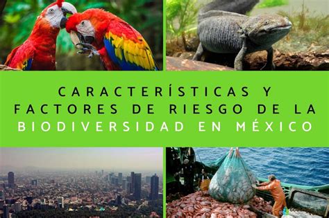 Conabio Y La Megadiversidad De México