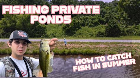 FISHING PRIVATE PONDS HOW TO CATCH BASS IN THE SUMMER YouTube