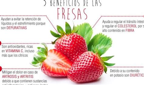 Gu A Completa Cultivo De Fresas Paso A Paso Consejos Expertos Para