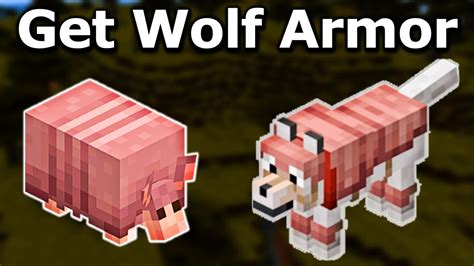 How To Get Wolf Armor In Minecraft Bedrock Java Armadillo