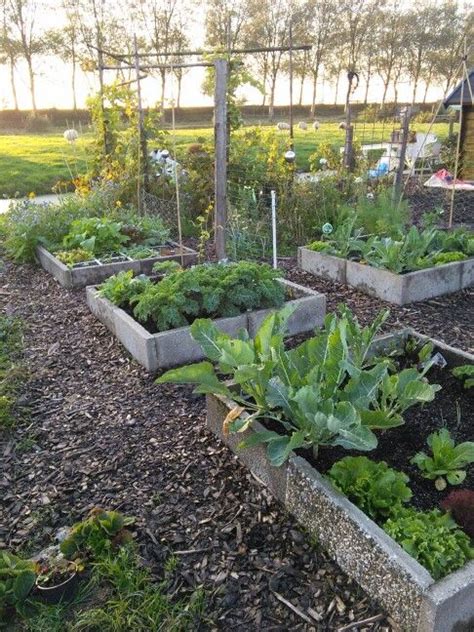 De Makkelijke Moestuinbakken Moestuinbakken Tuin Kruidentuin