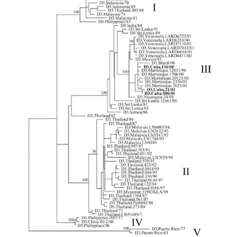 Figure Maximum Likelihood Ml Phylogenetic Tree Showing The Download Scientific Diagram