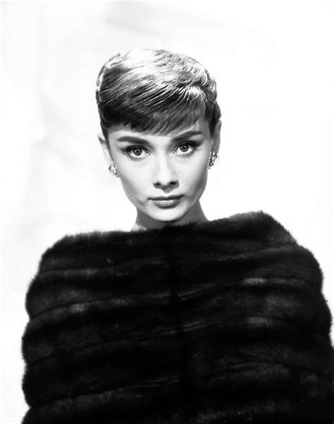 Pin By Ogura Keisuke On Audrey Hepburn Audrey Hepburn Hepburn Audrey