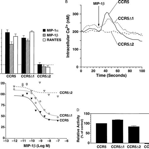 Ccr Truncations And Mutations Wild Type Ccr Was Truncated By