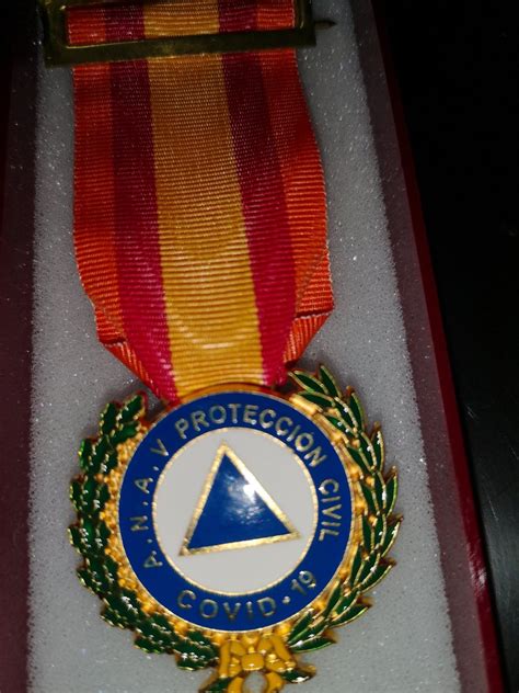 Majestuoso Con Qu Frecuencia Todo Tipo De Medalla Merito Proteccion