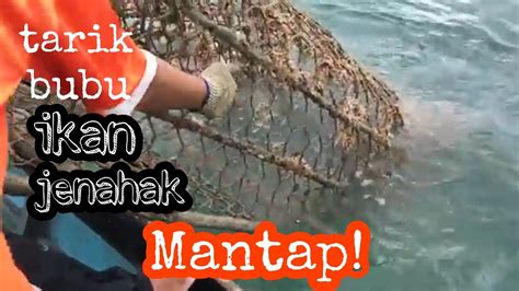 Bubu Ikan Jenahak Ikan Merah Nelayan Pulau Menampilik Satu Bubu