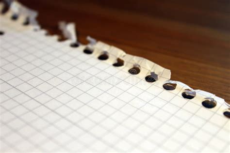 A Paper Sheet From A Notebook For Notes In A Cage Lies On The Table