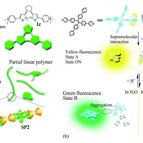 Pdf Photo Responsive Supramolecular Polymers