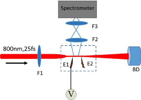 Side Schematic Of The Experimental Setup For Fluorescence Detection In