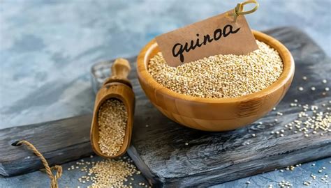 Cultivo de Quinoa Guía para proceso agrícola Siembra y cosecha