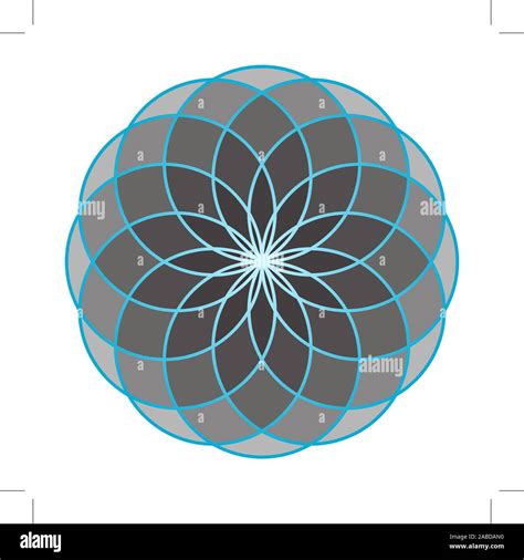 Flower Of Life Sacred Geometry Stock Vector Image And Art Alamy