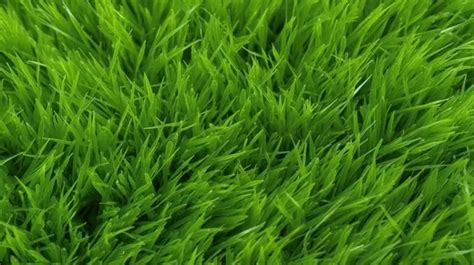 Background Of Vibrant Lush Green Grass Texture Grass Pattern Grass