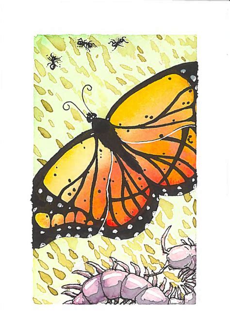 Watercolor Bugs By Dojerodesigns On Deviantart
