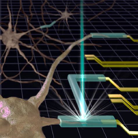 Nist Scientists Make Advances In 3d Printing Gels And Soft Materials