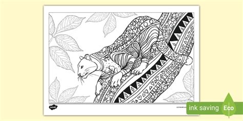 Panther Colouring Page Panthers Hecho Por Educadores