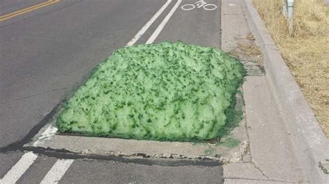 Green Foam Oozes From Sewers in Bluffdale, Utah | The Weather Channel