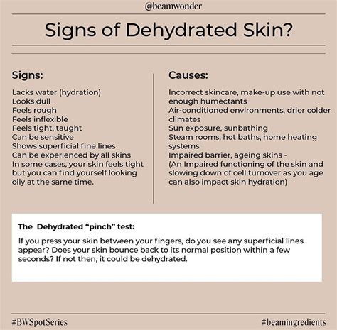 Signs Of Dehydrated Skin Beamwonder