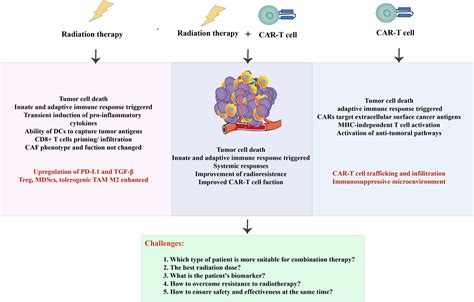 Frontiers Radiotherapy Plus Car T Cell Therapy To Date A Note For