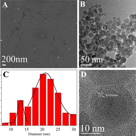 A Sem Image Of Mose Ifnps B Tem Image And C Corresponding