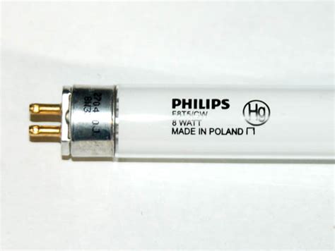 Philips 8 Watt, 12 Inch T5 Daylight Fluorescent Bulb | F8T5/D | Bulbs.com