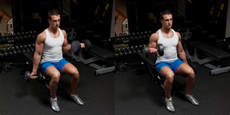 Seated Alternating Dumbbell Biceps Curl Weight Training Exercises 4 You