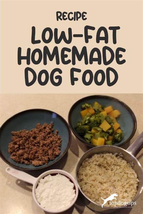 Low Fat Homemade Dog Food Recipe For Different Health Conditions Artofit
