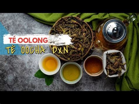 Beneficios del té Oolong TE OOCHA DE DXN YouTube