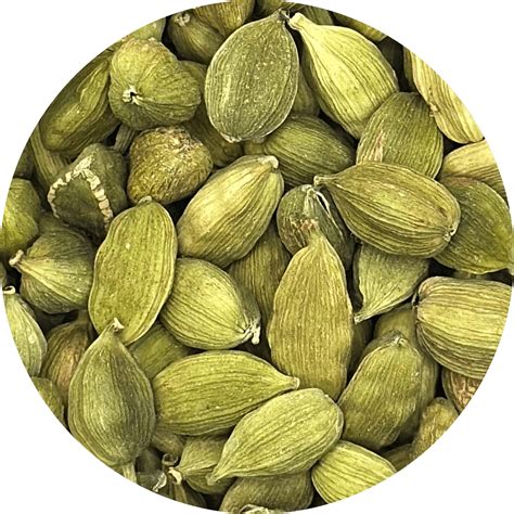bulk cardamom pods fancy green  wholesale prices hudson