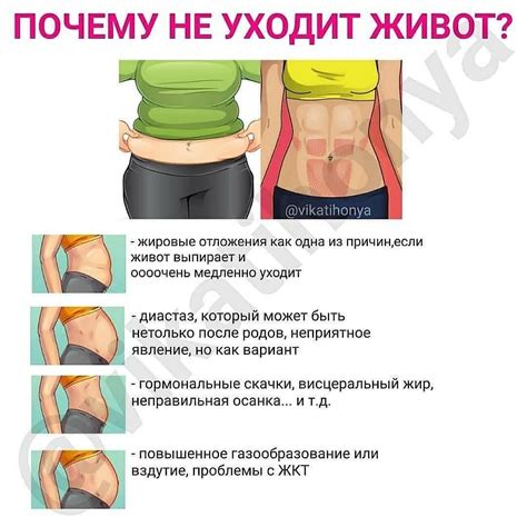 Какие есть способы убрать жир с живота? - voprosfen.com
