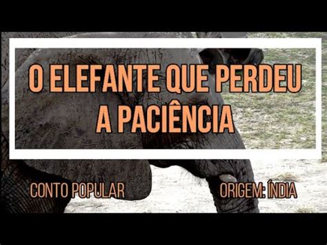 Conto O elefante que perdeu a paciência Som de Vida YouTube