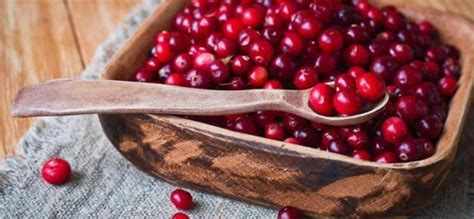 9 Health Benefits Of Cranberries Healthsomeness