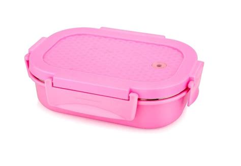 Stainless Steel Lunch Box With Plastic Cover And Container Double Walled Puf Insulated Airtight