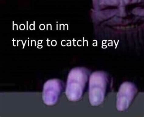 Hold On Im Trying To Catch A Gay Ifunny