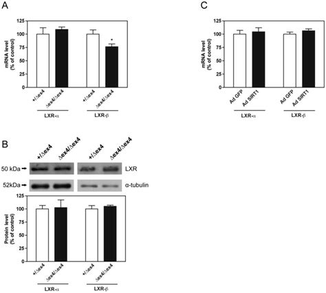 A Lxr And Lxr Mrna Level In The Gastrocnemius Muscle Of