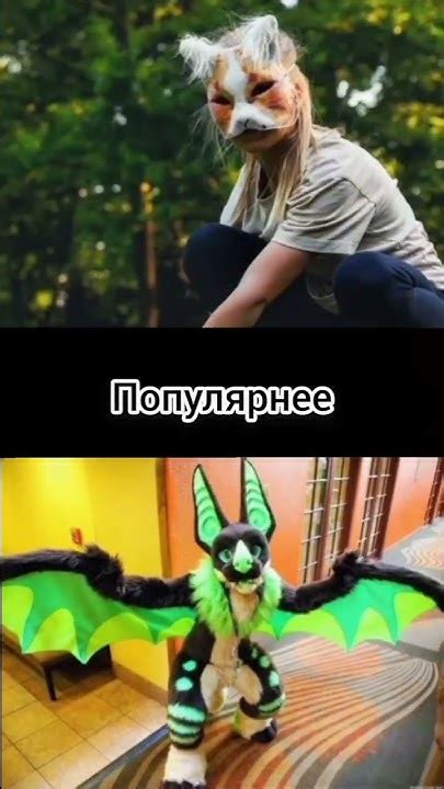 Квадроберы против фурри #рекомендации #тренд #фурри #квадробика #рек # ...