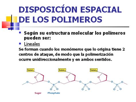 Polímeros sintéticos II Monografias