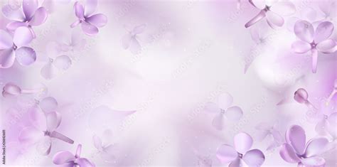 Floral Spring Background With Purple Lilac Flowers Stock Vector Adobe