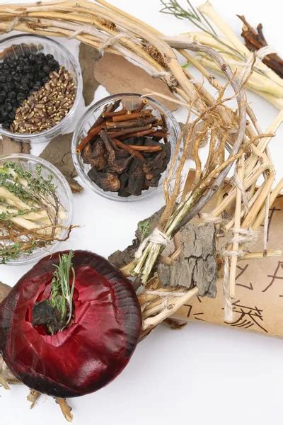 Traditional Chinese Herbal Medicine Ingredients — Stock Photo